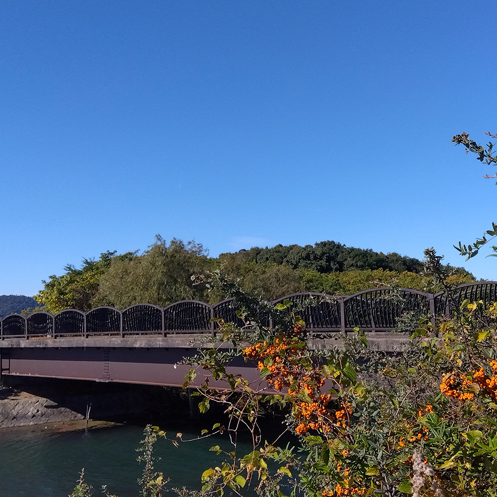湖と緑に囲まれたのどかな場所で日々の疲れをリセット
